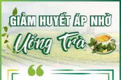 Cách giảm huyết áp hiệu quả chỉ nhờ uống trà