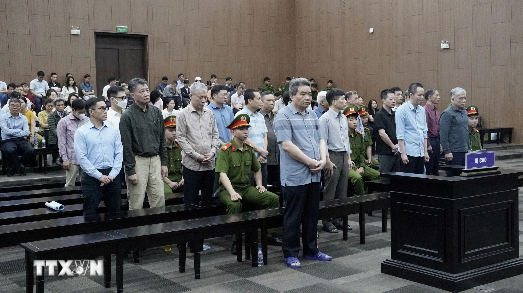 Vụ cựu Thứ trưởng Nông nghiệp: Các bị cáo nói lời sau cùng, xin giảm hình phạt