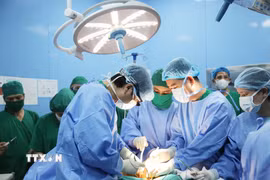 Các êkíp y bác sỹ tập trung cao độ thực hiện ca phẫu thuật lấy đa tạng từ người hiến chết não trong đêm 25/7 tại Bệnh viện Bãi Cháy, Quảng Ninh. (Ảnh: TTXVN phát)