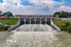 Hồ Dầu Tiếng là công trình thủy lợi đặc biệt quan trọng liên quan đến an ninh quốc gia, giữ vai trò quan trọng trong bảo đảm nguồn nước phục vụ sản xuất, dân sinh và điều tiết nguồn nước khu vực Đông Nam Bộ. (Ảnh: Minh Phú/TTXVN)