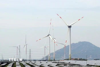 Điện gió Ninh Thuận. (Nguồn: TTXVN)