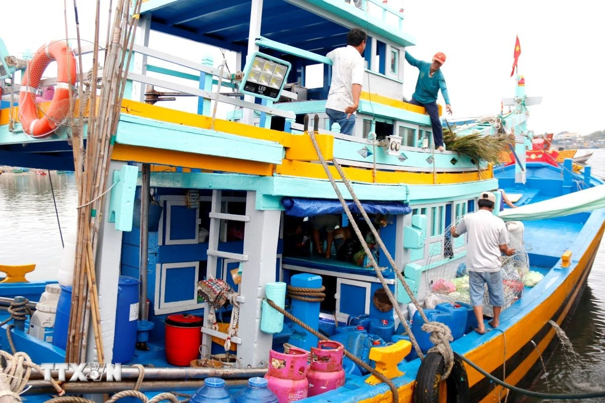 Lâm Đồng triển khai cao điểm chống khai thác gỗ trái phép trong rừng