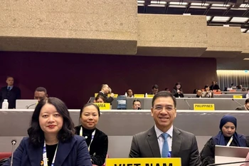 Đoàn Việt Nam tham dự COP11. (Ảnh: PV/Vietnam+)