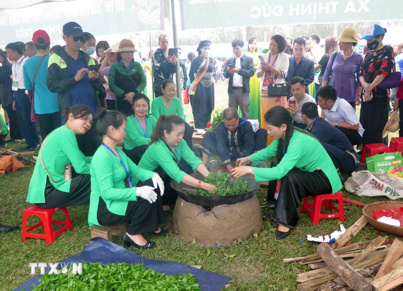 Đông đảo du khách thập phương tham quan và trải nghiệm sao chè bằng phương pháp thủ công truyền thống. (Ảnh: Quân Trang/TTXVN)