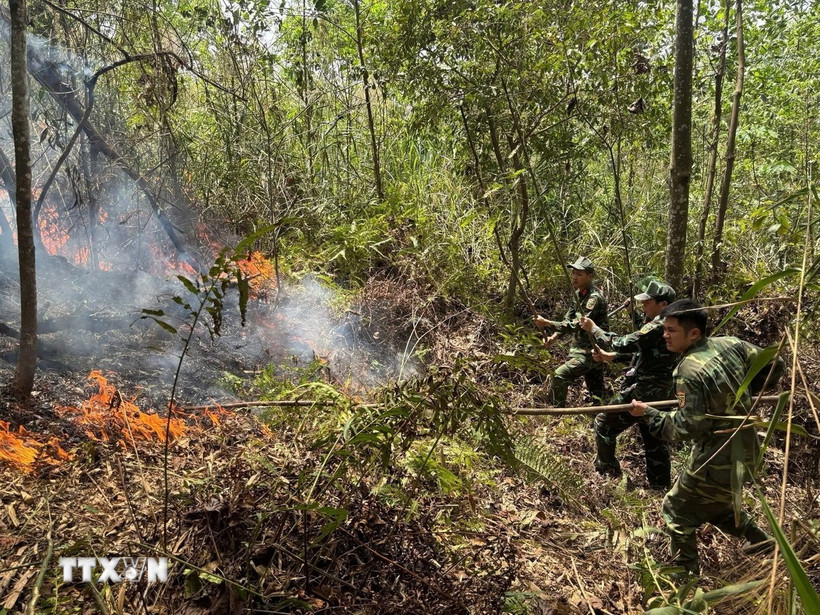 Lực lượng chức năng tham gia chữa cháy rừng ở phường Sông Bằng, thành phố Cao Bằng. (Ảnh: TTXVN phát)