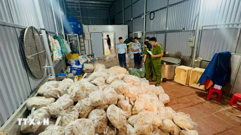 Lực lượng chức năng kiểm tra 3 kho lạnh tại huyện Phú Xuyên, thành phố Hà Nội. (Ảnh: TTXVN phát)
