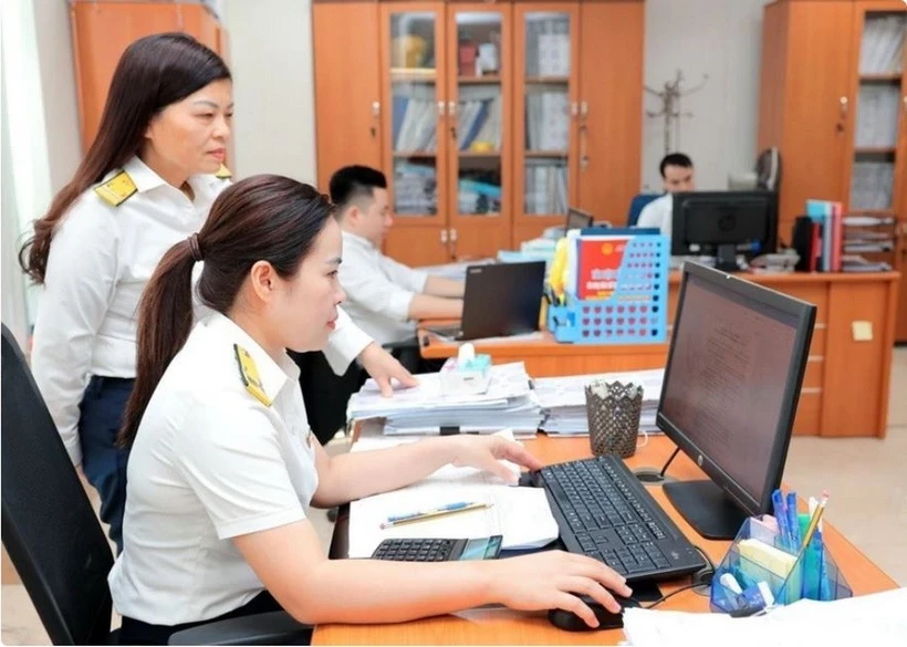 Cán bộ, công chức thuế rà soát, chuẩn hóa dữ liệu mã số thuế. (Ảnh: Phạm Hậu/TTXVN)