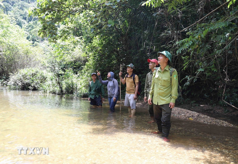 Lực lượng kiểm lâm và người dân địa phương trong khu vực suối Khe Cố, Tiểu khu 730, được khoanh nuôi, bảo vệ nguồn lợi thủy sản. (Ảnh: Xuân Tiến/TTXVN)