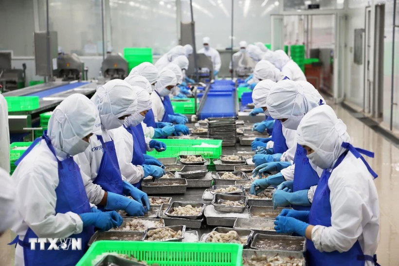 Shrimp processing line for export in Binh Chanh district, Ho Chi Minh City. (Photo: Hong Dat/VNA)