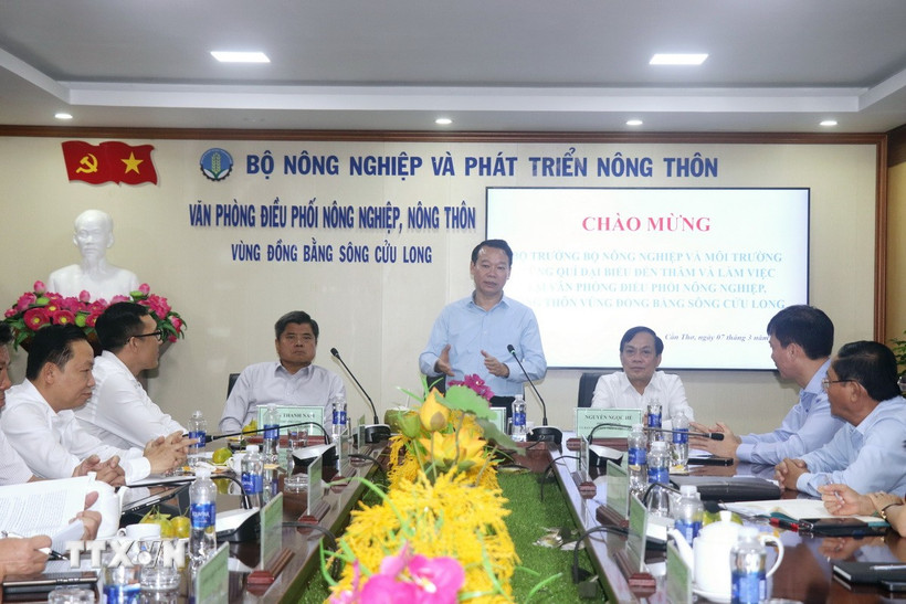 Bộ trưởng Bộ Nông nghiệp và Môi trường Đỗ Đức Duy chỉ đạo lãnh đạo ngành nông nghiệp và môi trường các tỉnh, thành vùng Đồng bằng sông Cửu Long ổn định mô hình, tổ chức bộ máy theo mô hình bộ máy mới. (Ảnh: Thu Hiền/TTXVN)