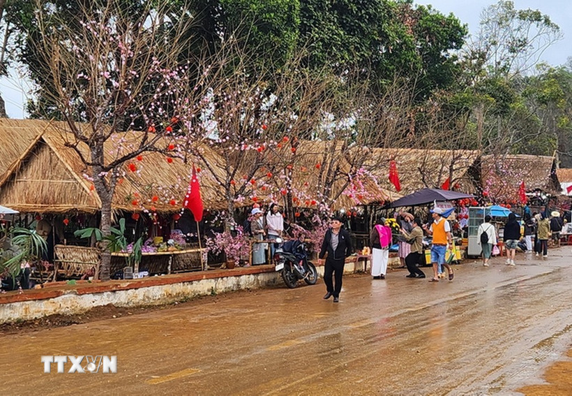 Du khách mê mẩn với những con đường đầy hoa đào. (Ảnh: Sỹ Thắng/TTXVN)