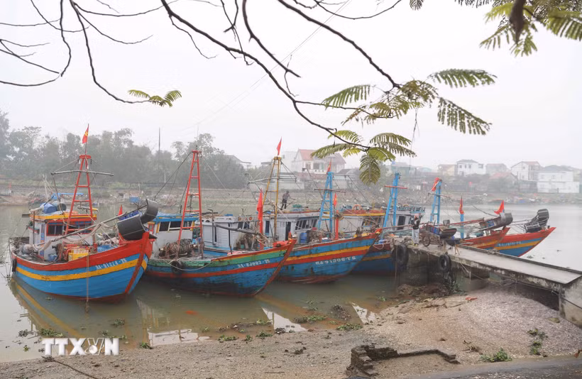 Thuyền cá của ngư dân tỉnh Nghệ An neo đậu ở các bến, bãi trên các luồng, lạch. (Ảnh: Xuân Tiến/TTXVN)