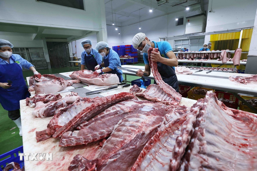 Sản phẩm thịt lợn phục vụ thị trường. (Ảnh: Vũ Sinh/TTXVN)