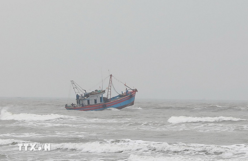 Ảnh minh họa. (Ảnh: Xuân Tiến/TTXVN)