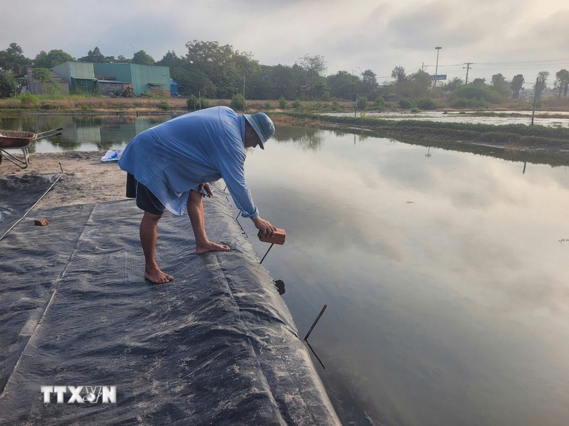 Ông Bùi Văn Hùng, diêm dân phường Long Toàn, thành phố Bà Rịa, lót bạt cho bờ ruộng muối, tránh trời mưa nước trôi xuống ruộng. (Ảnh: Hoàng Nhị/TTXVN)