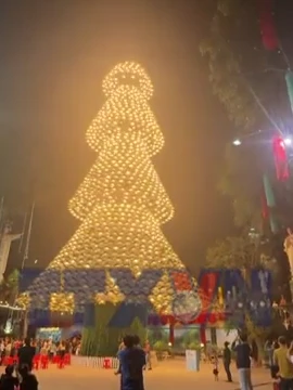 Chiêm ngưỡng cây thông làm từ 3.000 chiếc nón lá ở Đồng Nai 