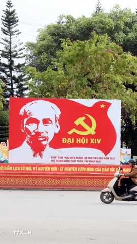 (Ảnh minh họa. Văn Đạt/TTXVN)