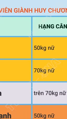 Đội tuyển Vật Việt Nam giành 7 Huy chương tại Giải Vật Bãi biển Thế giới 2026