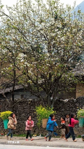 Vẻ đẹp của vùng Cao nguyên đá Đồng Văn. (Ảnh: Khánh Hòa/TTXVN)