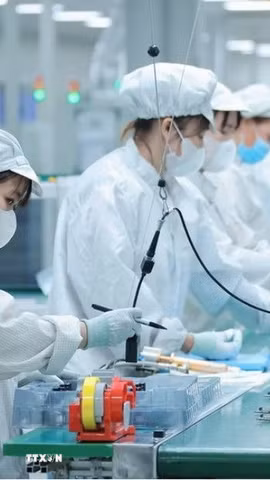 Việt Nam đã và đang triển khai chiến lược đào tạo nhân lực chất lượng cao ngành công nghiệp bán dẫn. (Ảnh: Hoàng Hiếu/TTXVN)