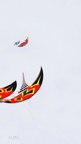 Diều sáo của các đội dự thi tại lễ hội. (Ảnh: Nhật Bình/ TTXVN)