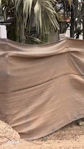 Vì quá bụi, người dân phải “khẩu trang” bằng lưới cho hàng rào nhà. (Ảnh: Cao Nguyên/TTXVN)