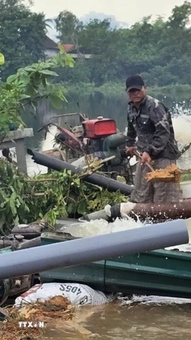 Hợp tác xã nông nghiệp Phú Hồ, xã Phú Hồ, huyện Phú Vang huy động nhân lực, máy bơm tiêu úng cứu lúa cho nông dân. (Ảnh: Tường Vi/ TTXVN)