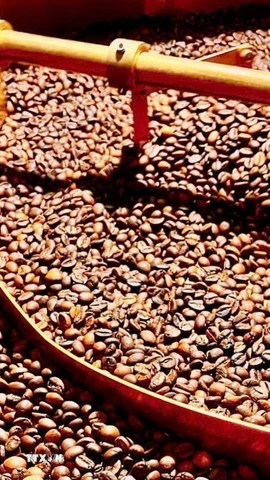 Ảnh minh họa. (Nguồn: Hồng Điệp/TTXVN)