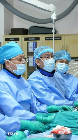 Các bác sỹ Bệnh viện Đại học Y dược Thành phố Hồ Chí Minh thực hiện kỹ thuật TAVI. (Ảnh: TTXVN phát)