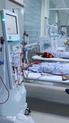 Suy thận là một trong những biến chứng nguy hiểm của bệnh tiểu đường. (Nguồn: TTXVN)