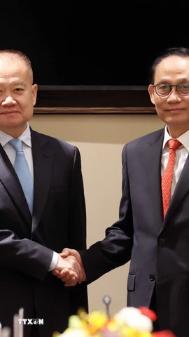 Bộ trưởng Bộ Ngoại giao Lê Hoài Trung hội đàm với đặc phái viên của Tổng Bí thư, Chủ tịch nước Trung Quốc Tập Cận Bình, đồng chí Lưu Hải Tinh. (Ảnh: An Đăng/ TTXVN)