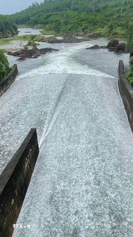 Ảnh minh họa. (Ảnh: Đoàn Hữu Trung/TTXVN)