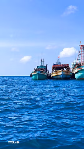 Các tàu khai thác thủy sản neo đậu ngoài khơi vùng biển Tây Nam. (Ảnh: Chanh Đa/TTXVN)