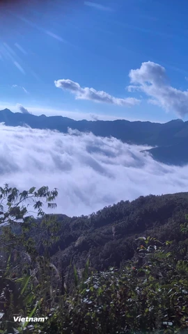 Tà Xùa quanh năm được bao bọc trong những dải mây mù, nên đến đây vào bất kỳ thời điểm nào cũng đẹp. (Ảnh; Hồng Hạnh/Vietnam+)