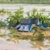 Nước sông Hồng đã dâng cao khiến nhiều khu vực bãi giữa sông Hồng Hà Nội bị cô lập. (Ảnh: Phan Phương/TTXVN)
