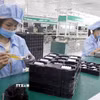 Một dây chuyền sản xuất linh kiện điện tử xuất khẩu. (Ảnh: Phạm Hậu/TTXVN)