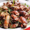 Ve sầu chiên.