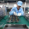 Sản xuất linh kiện điện tử xuất khẩu tại Khu công nghiệp Tứ Hạ, thị xã Hương Trà, thành phố Huế. (Ảnh: Vũ Sinh/TTXVN)
