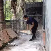 Trước nguy cơ dịch tả lợn châu Phi bùng phát trên diện rộng người chăn nuôi lợn tại xã Xuân Sơn, Thành phố Hồ Chí Minh phải tăng cường rắc vôi xung quanh trang trại. (Ảnh: Hoàng Nhị/TTXVN)