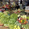 Không chỉ rau xanh, giá các loại rau gia vị cũng tăng cao gấp đôi và khan hiếm hơn do thời tiết không thuận lợi để cây phát triển. (Ảnh: Hoàng Ngà/TTXVN)