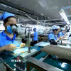 Đồng Nai đã giải ngân gần 1,4 tỷ USD vốn FDI trong 10 tháng năm 2025. (Ảnh: Tuấn Anh/TTXVN)