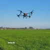 Điều khiển thiết bị bay theo sơ đồ bố trí khảo nghiệm tại ruộng lúa. (Ảnh: Bích Hồng/TTXVN)