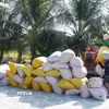 Nông dân xã Vĩnh Hòa, tỉnh An Giang thu hoạch lúa Đông Xuân. (Ảnh: Văn Sĩ/TTXVN)
