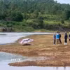 Ảnh minh họa. (Ảnh: TTXVN phát)
