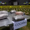 Tang vật một vụ bắt giữ cocaine. (Ảnh: AFP/ TTXVN)