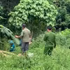 Khu vực ông Mã Văn T. nghi bị voi rừng tấn công. (Nguồn: Báo Đại biểu Nhân dân)