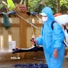 Phun hóa chất phòng chống dịch bệnh sau lũ. (Ảnh: TTXVN phát)