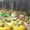 Vựa thu mua sầu riêng ở xã Long Tiên, tỉnh Đồng Tháp. (Ảnh Công Trí/TTXVN)
