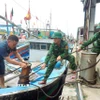Lực lượng Bộ đội biên phòng tỉnh Nghệ An hỗ trợ giúp ngư dân chằng néo tàu thuyền tại nơi tránh trú bão an toàn. (Ảnh: TTXVN phát)