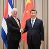 Chủ tịch Cuba Miguel Díaz-Canel và người đồng cấp Trung Quốc Tập Cận Bình trong cuộc gặp tại Moskva bên lề Lễ Kỷ niệm 80 năm Ngày Chiến thắng trong Chiến tranh Vệ quốc vĩ đại. (Nguồn: Xinhua)